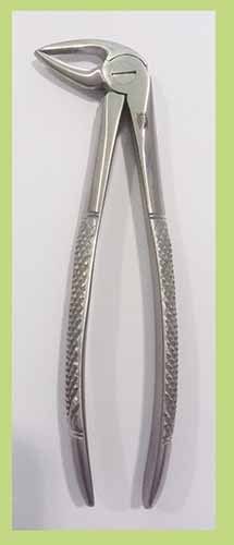 Forceps Adultos Nº 33M raices inferiores lateral DJL