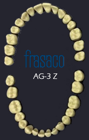 Dientes tipodonto adulto originales Frasaco AG-3 32U