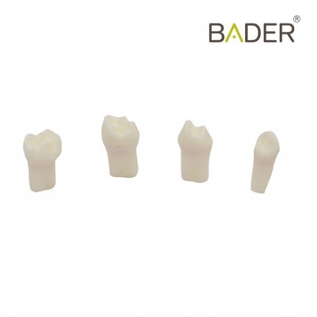 Set 4 dientes para pulpotomia para AK6 Bader